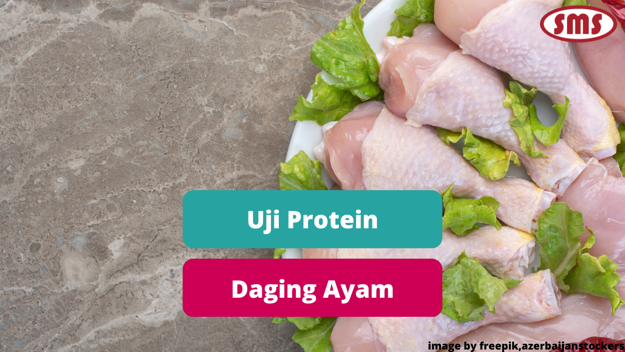  Uji  Kandungan Protein Daging Ayam Komersial